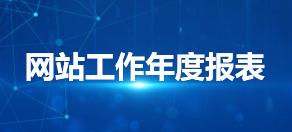 政府网站年度报表