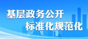基层政务公开标准化规范化