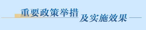 重要政策措施及实施效果